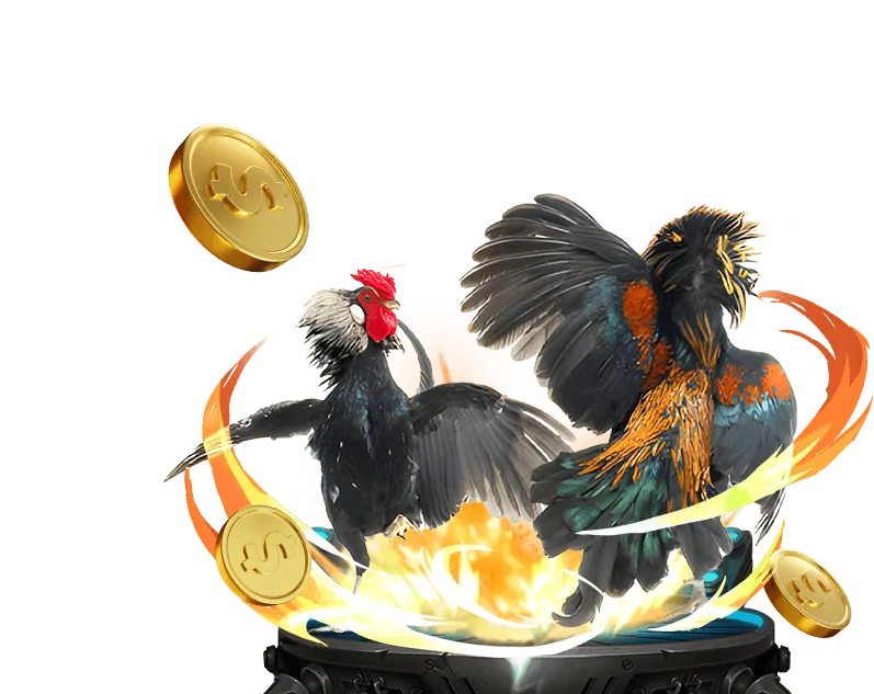 Hình ảnh người chơi đang chọn sảnh đá gà và đặt cược trên giao diện Win68 Club.